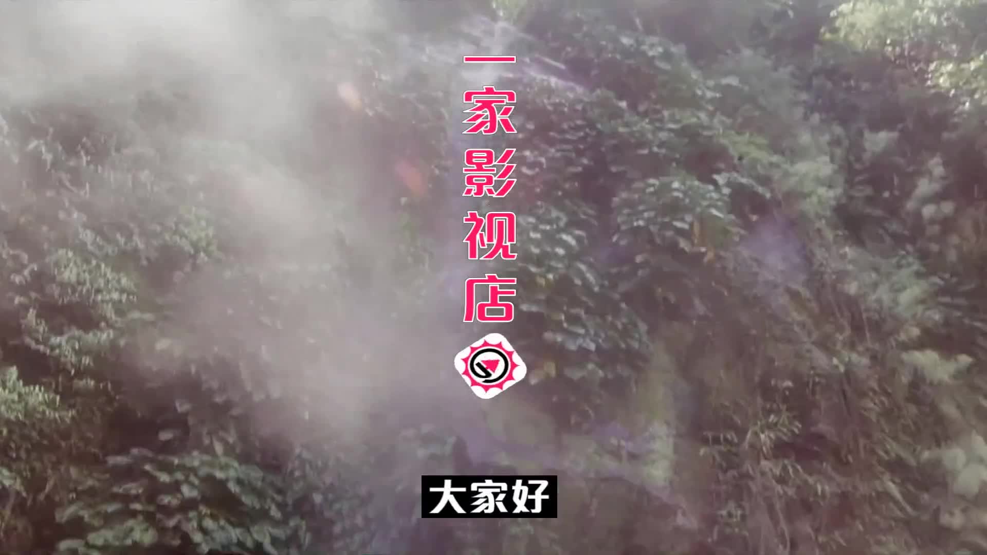 战争片:她们是战地巾帼,抗日年代,女人牺牲不比男人少哔哩哔哩bilibili