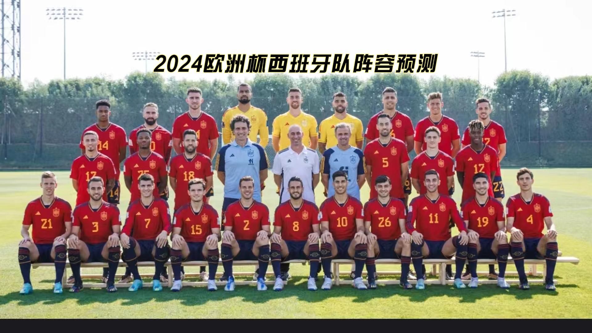 早看早知道,2024德国欧洲杯阵容预测,斗牛士军团-西班牙队