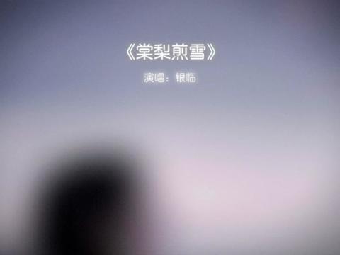 這首《棠梨煎雪》是多少人的古風入門曲啊