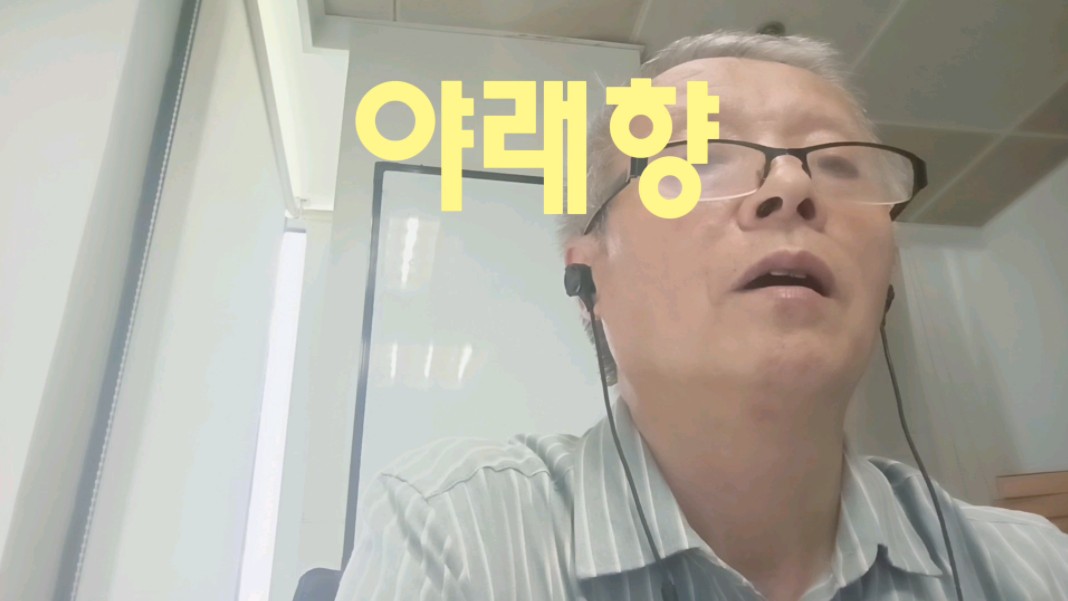 夜来香韩语翻唱版(二)(周炫美)