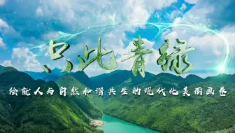 第七届全国高校大学生讲思政课公开课展示作品——《只此青绿：绘就人与自然和谐共生的现代化美丽画卷