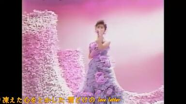 酒井法子出道三十周年纪念演唱会Noriko Sakai 30th Anniversary