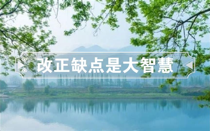 改正缺点是大智慧哔哩哔哩bilibili