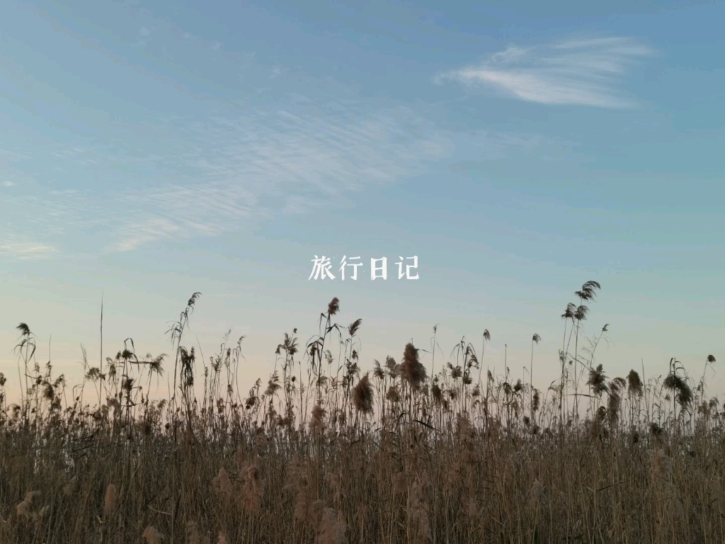 阳澄湖风景哔哩哔哩bilibili