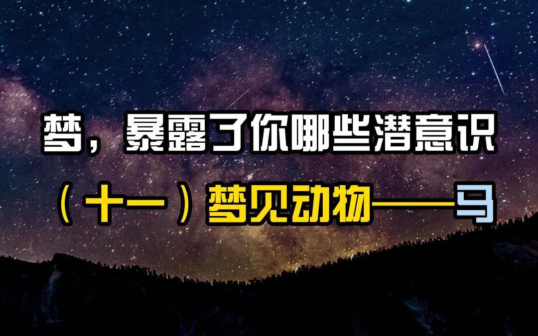 听心聊心理咨询师 | 梦,暴露了你哪些潜意识(十一)梦见动物——马哔哩哔哩bilibili