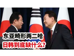 Descargar video: 东亚畸形两二哈，日韩到底缺了什么？