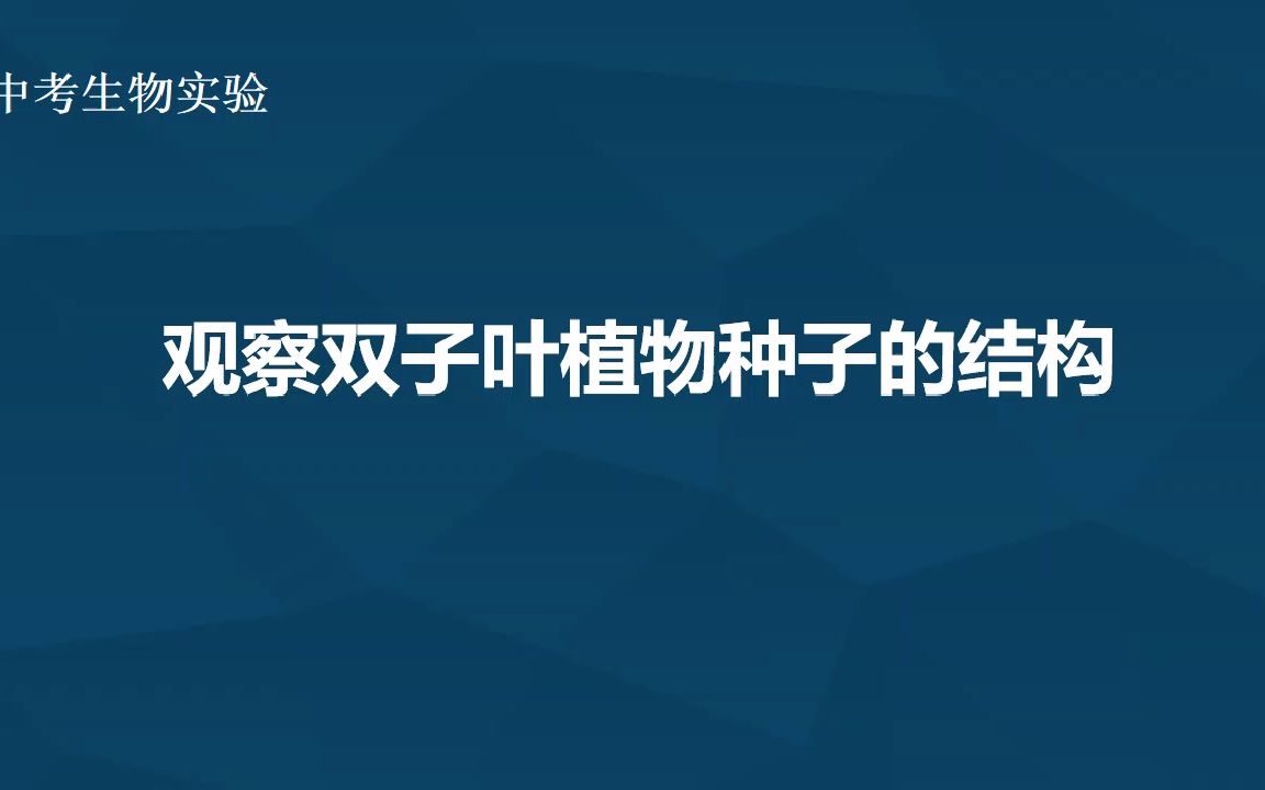 [图]8、观察双子叶植物种子的结构