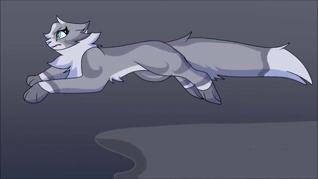 【猫武士】羽尾-into the unknown