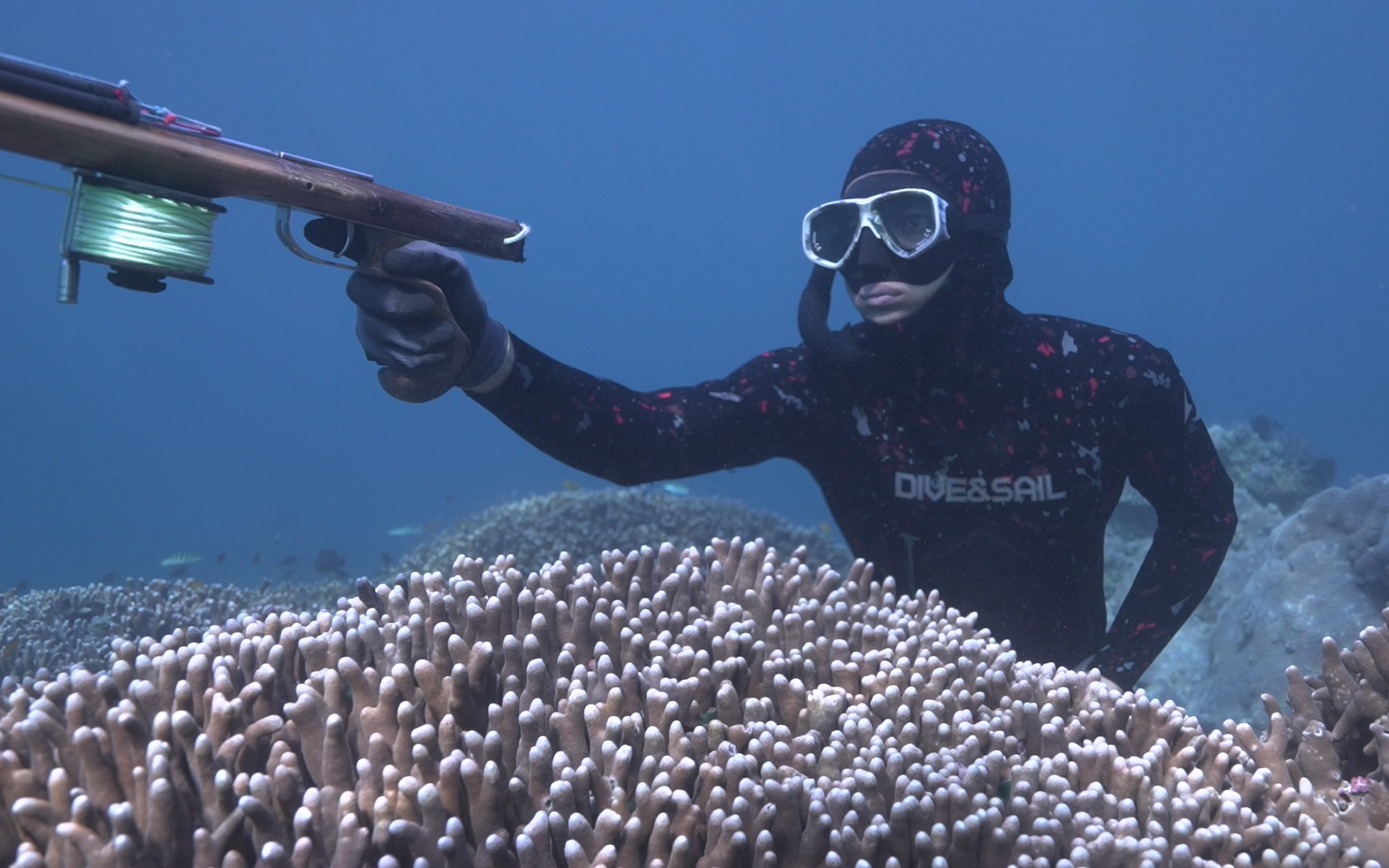 巴厘岛潜水渔猎|渔猎兄弟_哔哩哔哩_bilibili