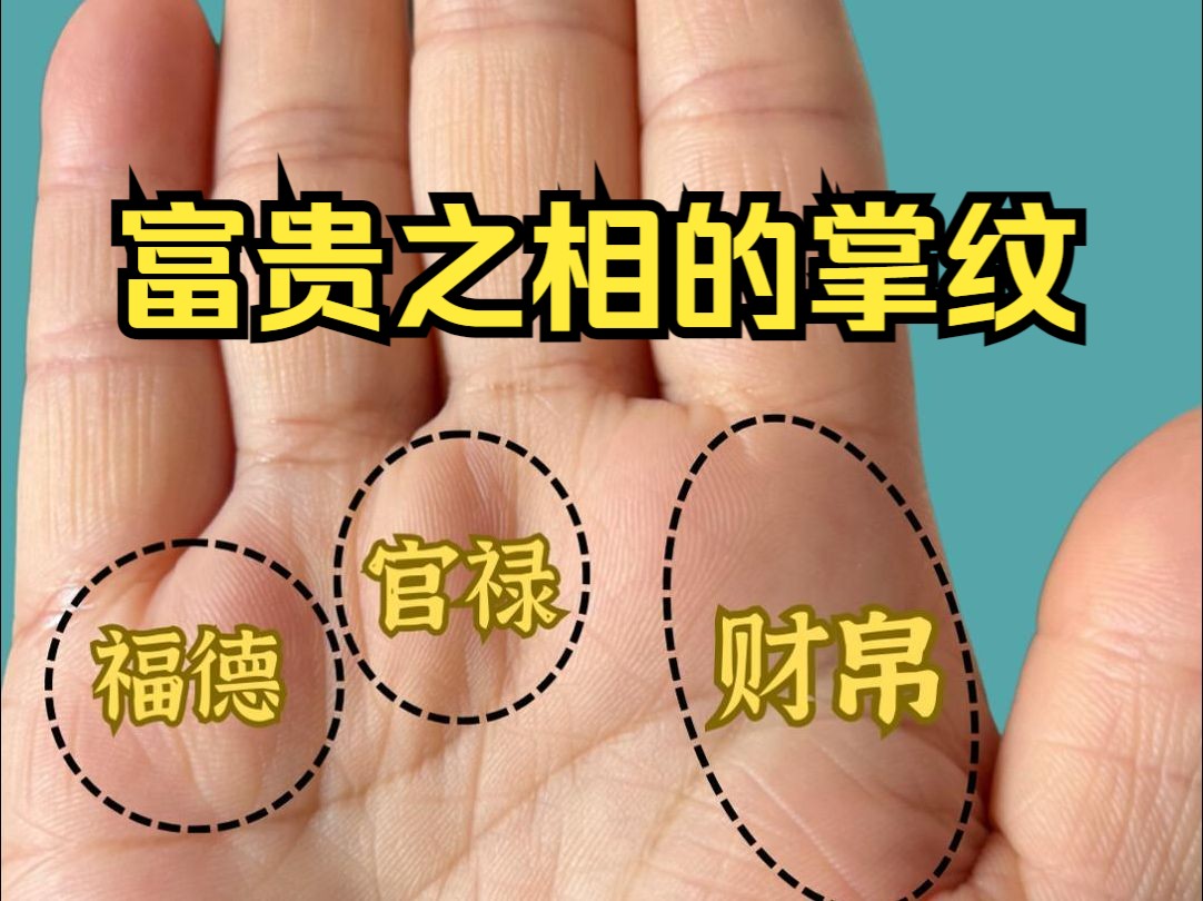 富贵之相的掌纹