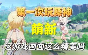 Descargar video: 第一次玩原神，真的后悔没早点玩!