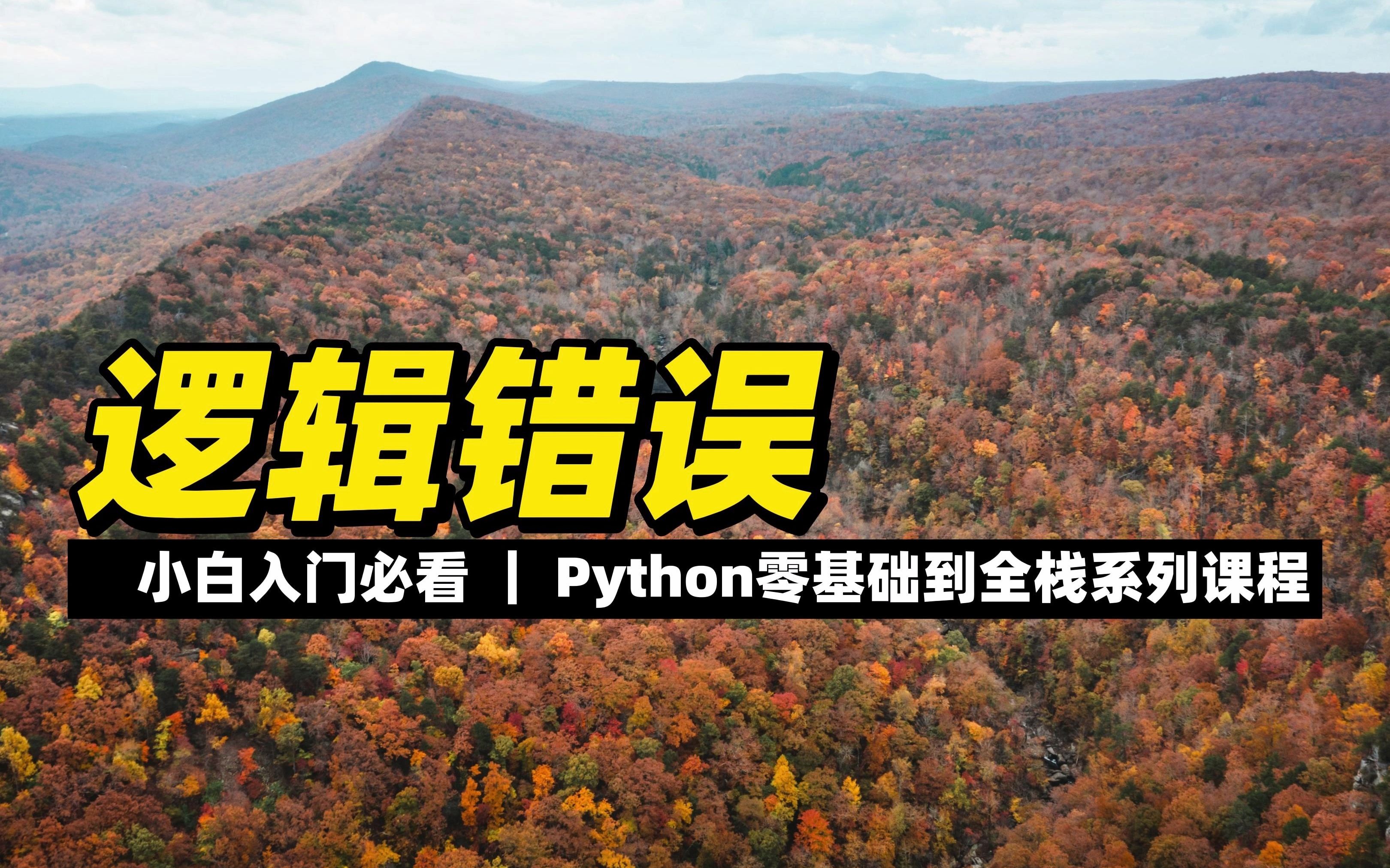 逻辑错误  《Python零基础到全栈系列》哔哩哔哩bilibili