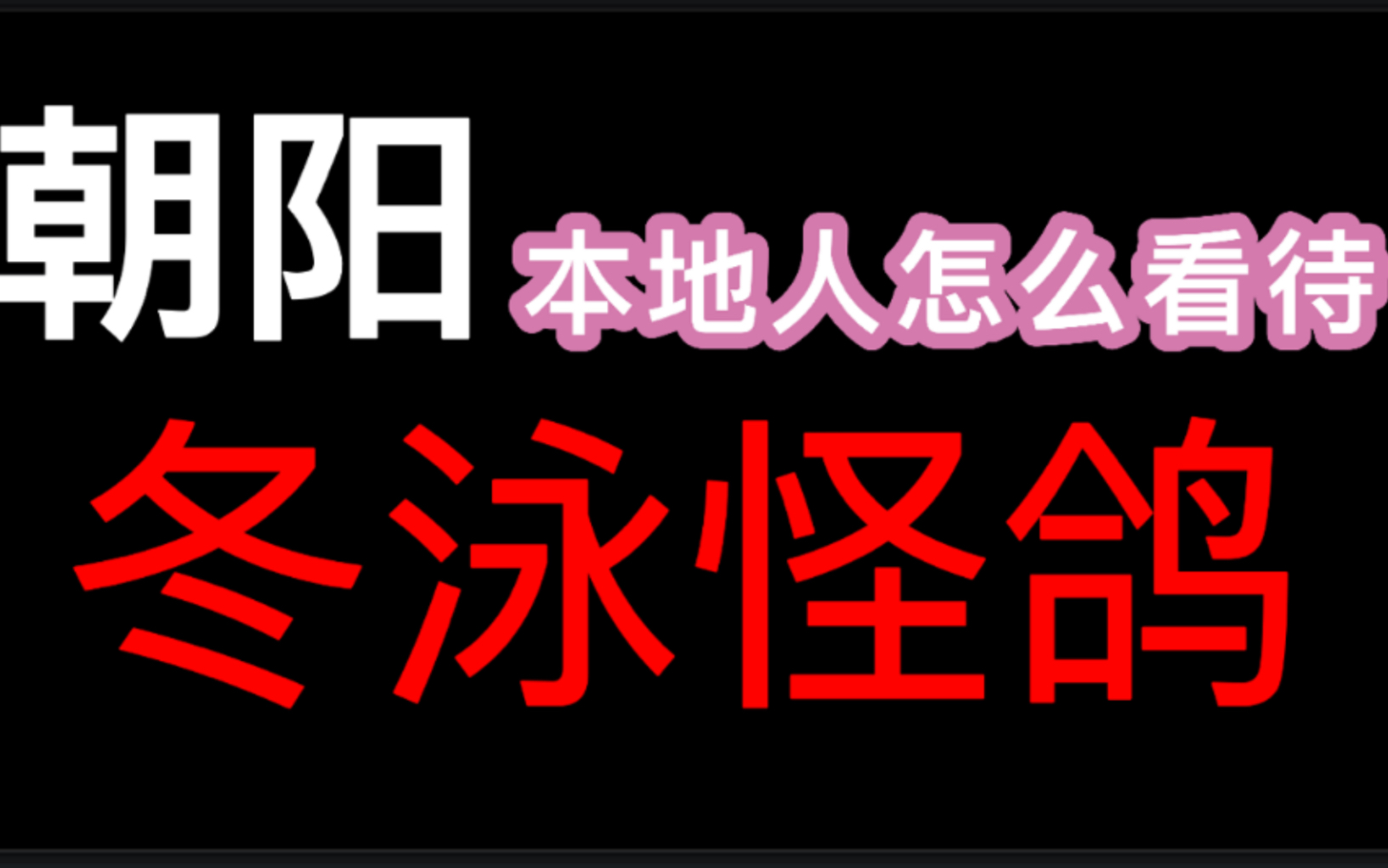 殴打学生?直播卖惨?朝阳本地人怎么看待冬泳怪鸽!哔哩哔哩bilibili