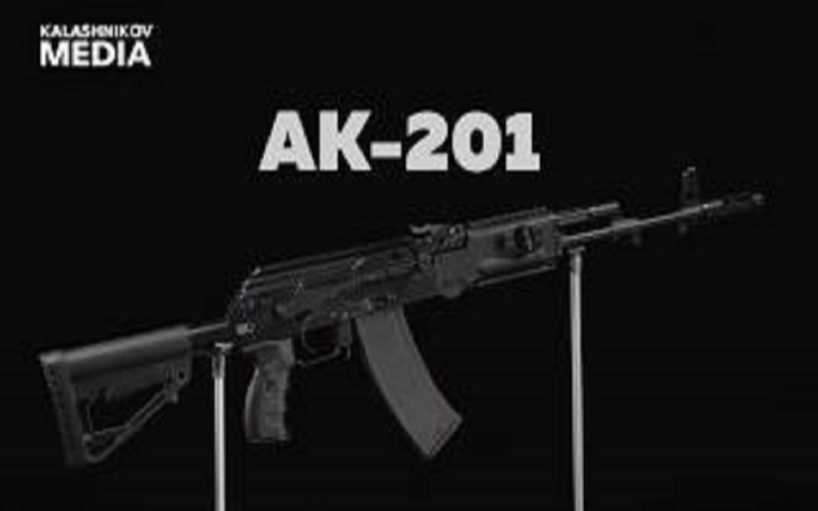 【搬运/已加工字幕】ak-201突击步枪 基本介绍_哔哩哔哩 (゜-゜)つロ