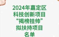 2024年嘉定区科技创新项目“揭榜挂帅”拟扶持项目名单哔哩哔哩bilibili