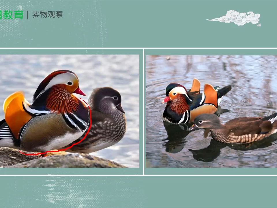 022-【第19节】玉炉冰簟鸳鸯锦-鸳鸯