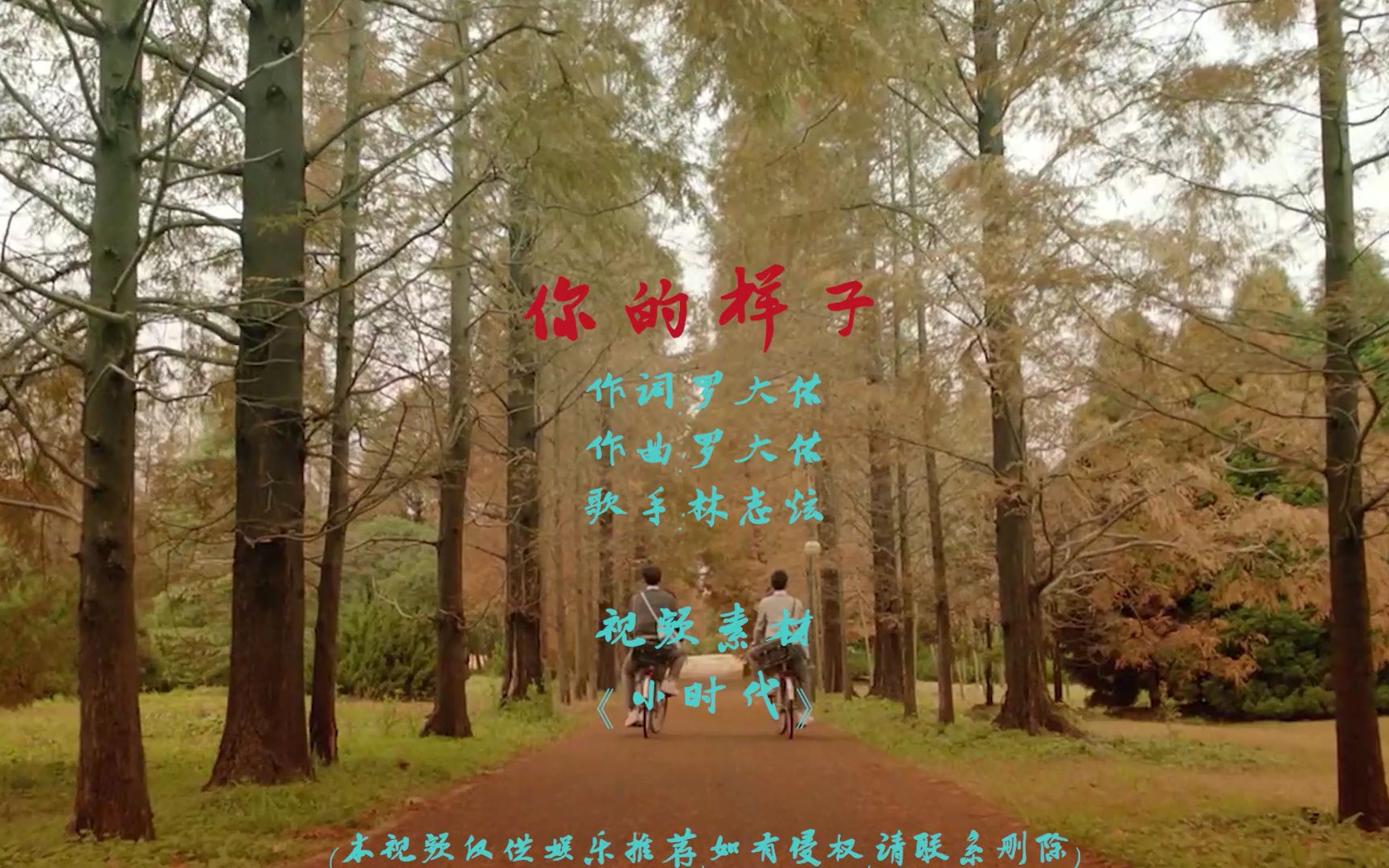 林志炫经典演唱你的样子空灵的嗓音唯美动听好听到停不下来