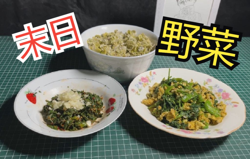 末日求生之把野菜变成美食春季篇哔哩哔哩bilibili