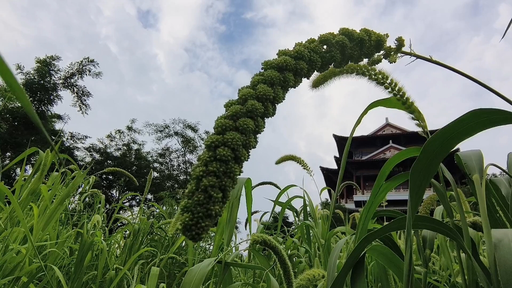 一人一车自驾游全国-来到了辽宁省沈阳市法库县东湖公园露营 景色太美