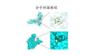 Autodock 分子对接教程--03.pymol软件绘图