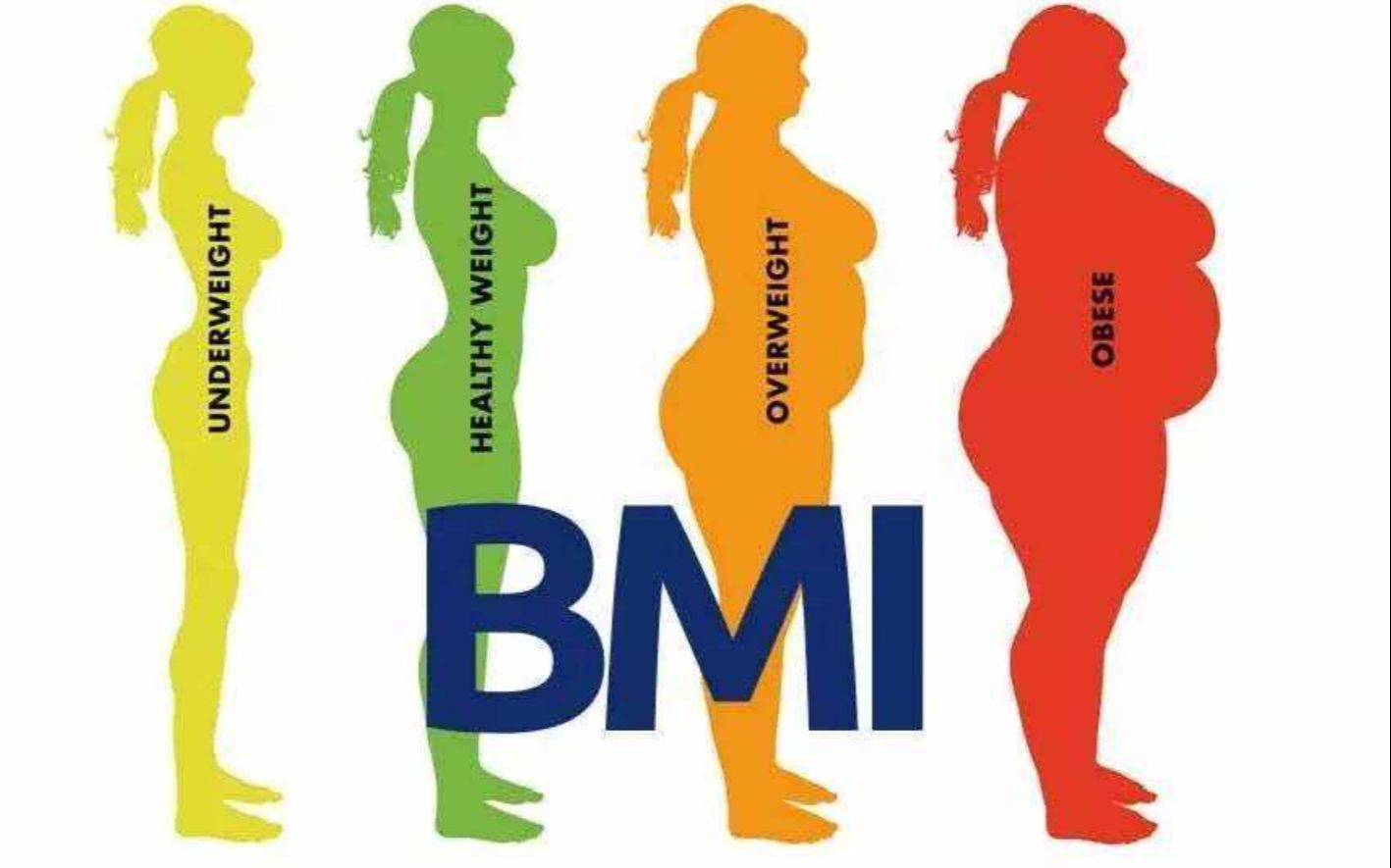 BMI指数避免过重和肥胖哔哩哔哩bilibili