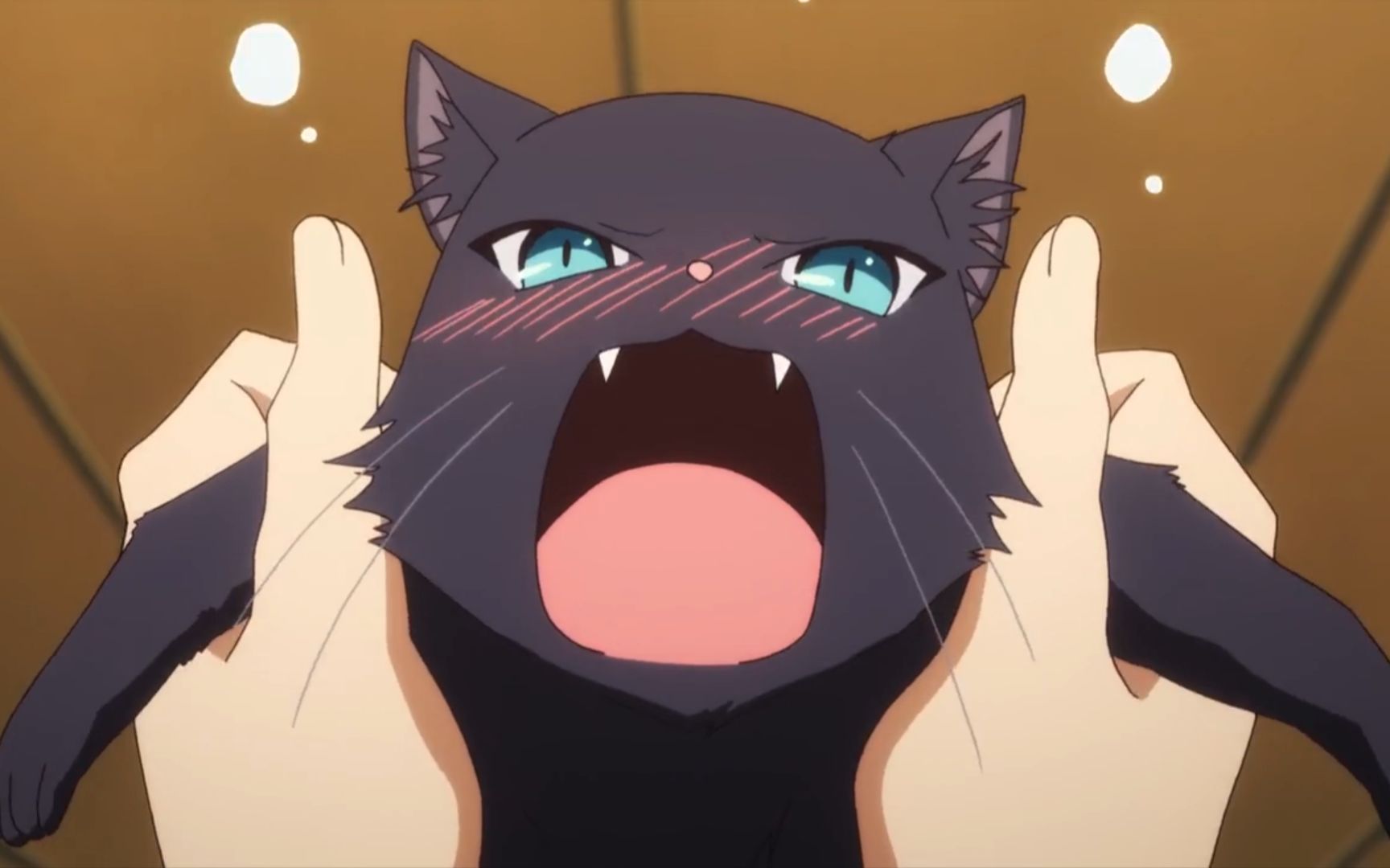 当妹子变成猫咪后