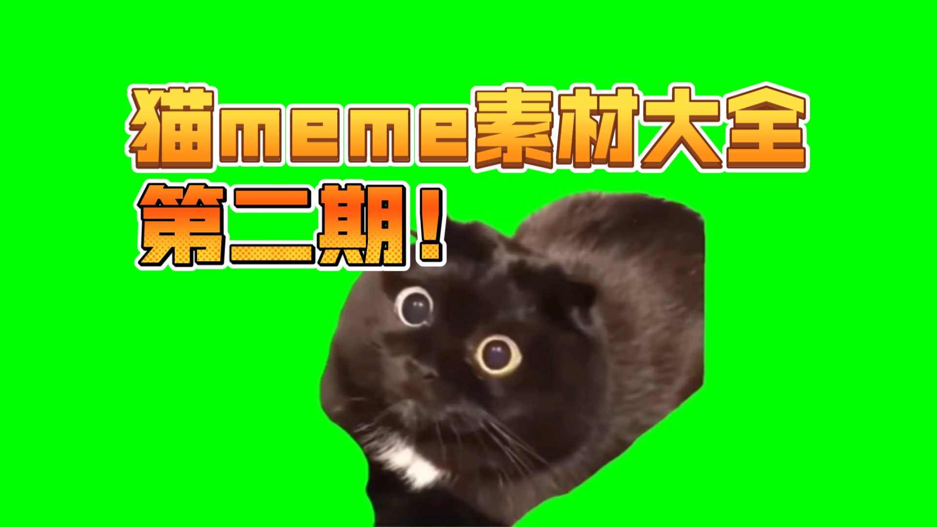 猫meme素材大全第二期!哔哩哔哩bilibili