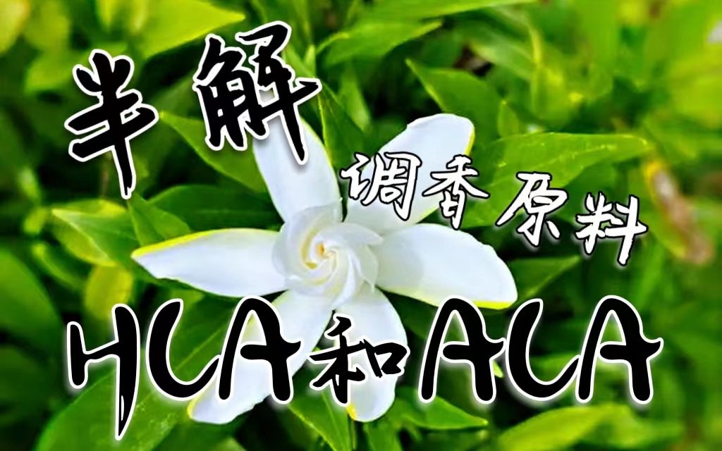 最常用的合成原料HCA与ACA的不太简单的介绍哔哩哔哩bilibili