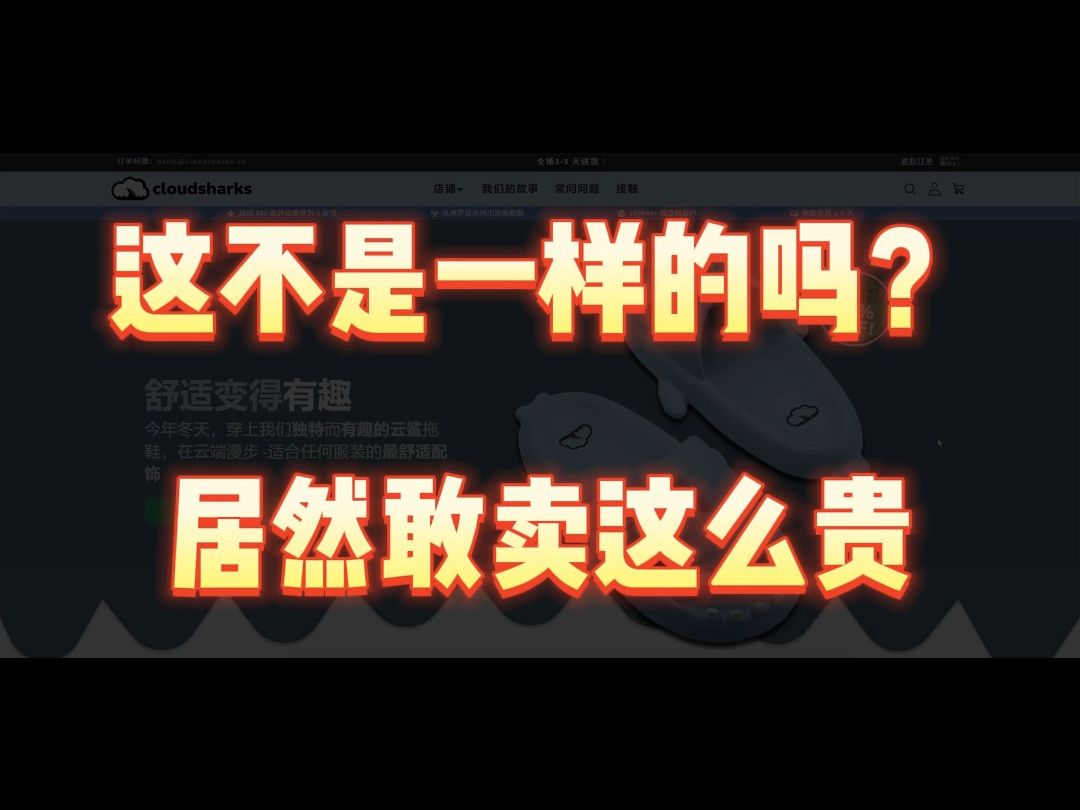 这不是一样的吗?居然敢卖这么贵哔哩哔哩bilibili