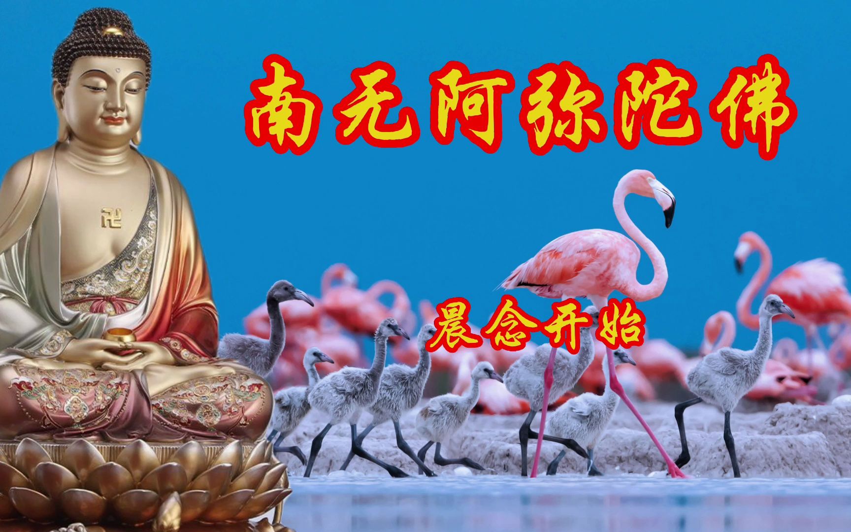 李娜一首《南无阿弥陀佛》值得一听,旋律优美,听到就是缘分-宇航跨境