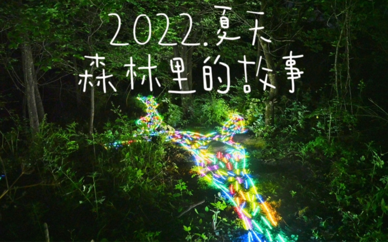 2022夏天,森林里的故事哔哩哔哩bilibili