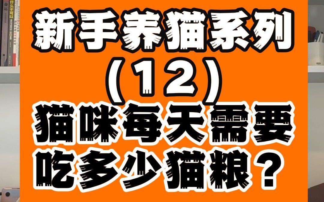 猫咪每天需要吃多少克猫粮?小猫一个月要吃几斤猫粮?哔哩哔哩bilibili