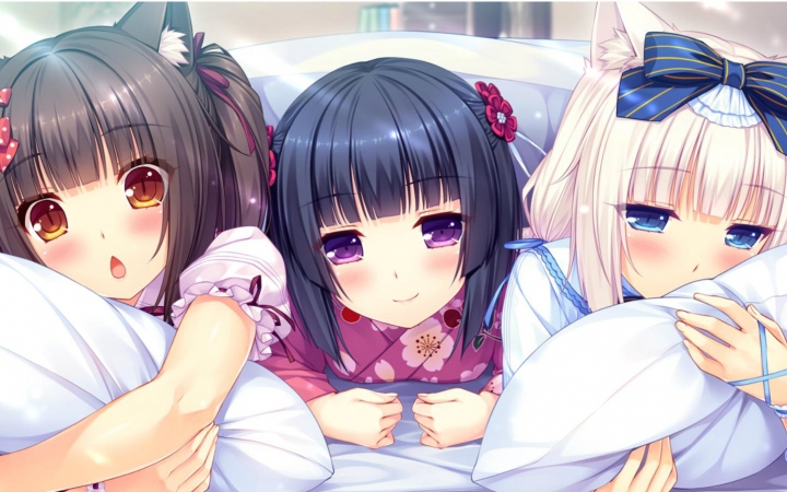 [图]【NEKOPARA Vol. 0】猫娘新玩法 摸头杀！( # ▽ # )