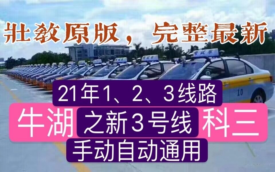 牛湖科目三3号线(2021壮哥讲座逢考必过)深圳龙华牛湖考场哔哩哔哩bilibili