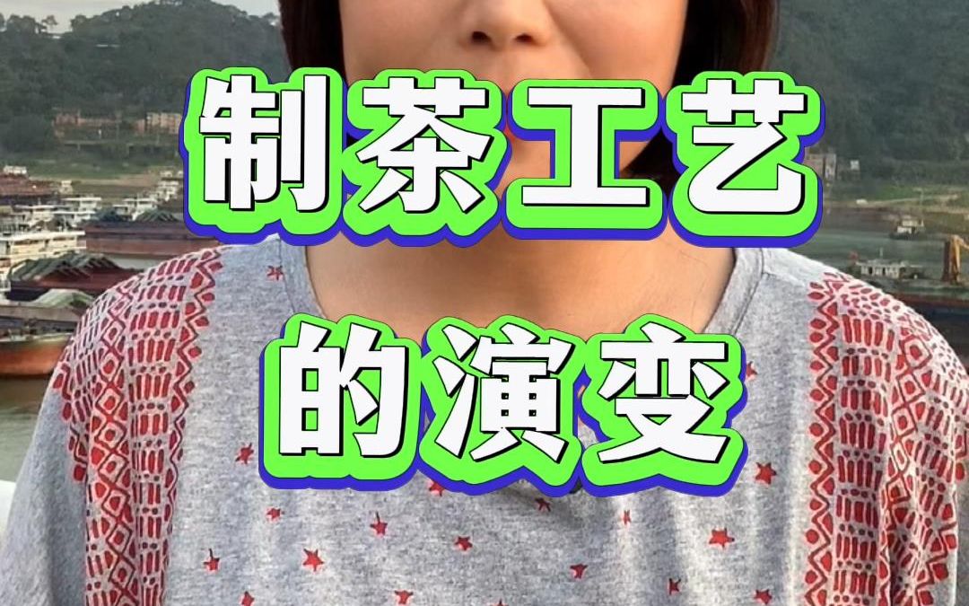 制茶工艺的演变哔哩哔哩bilibili