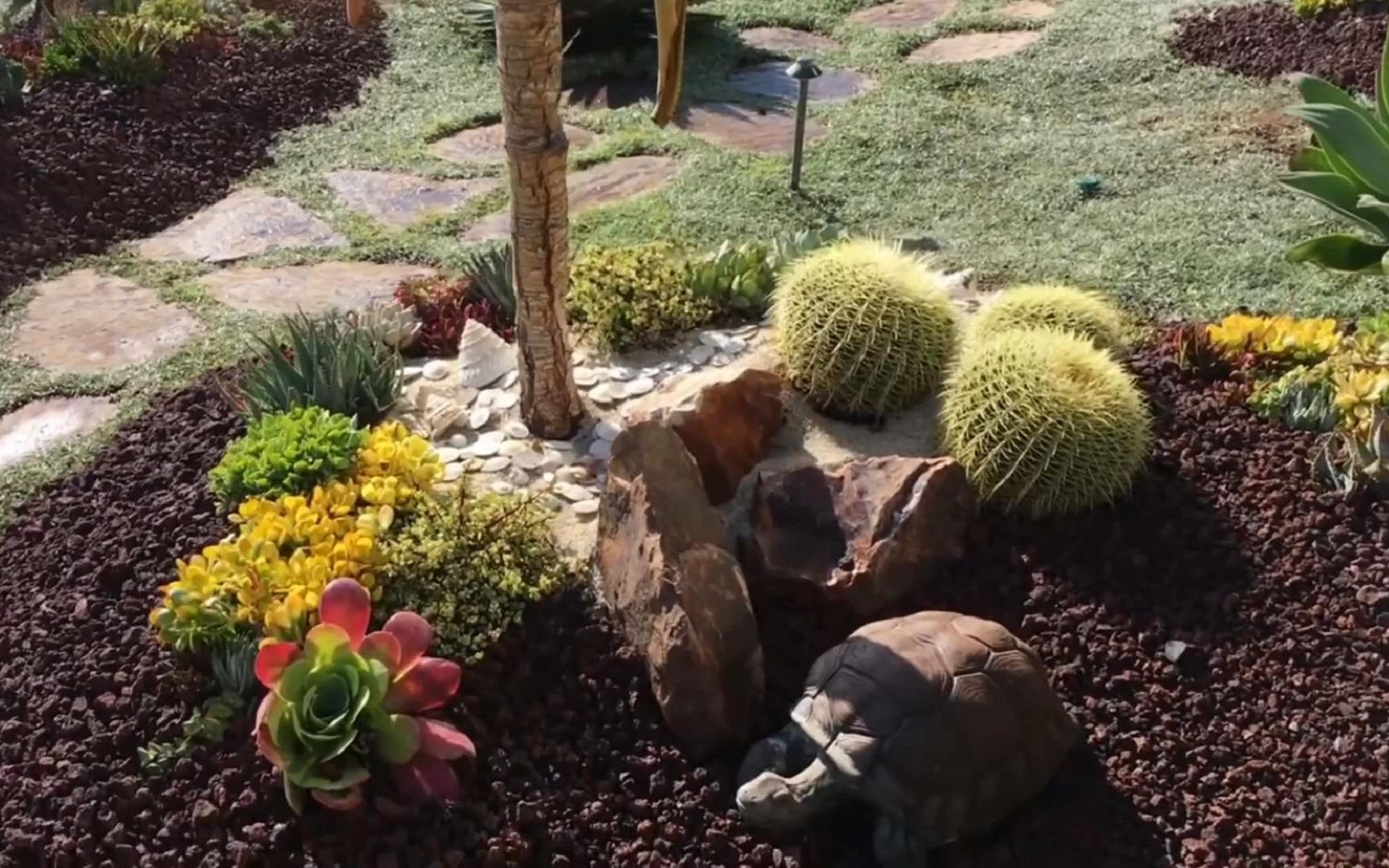 加州海滨多肉植物海景房,一边观海一边赏肉,能不能借我住上一晚?