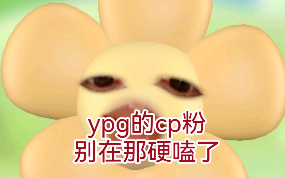 ypg的cp粉,去做唯粉吧,别装了哔哩哔哩bilibili