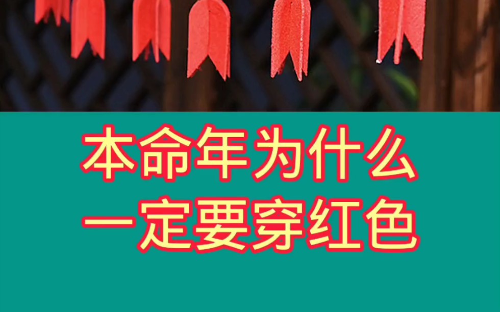 本命年为什么一定要穿红色,你还穿过红什么哔哩哔哩bilibili