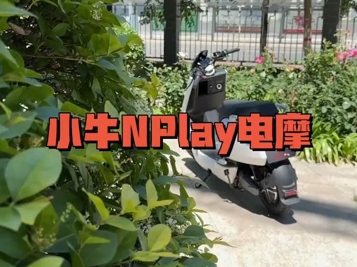 小牛N Play 到店,到店现车,全部就位!哔哩哔哩bilibili