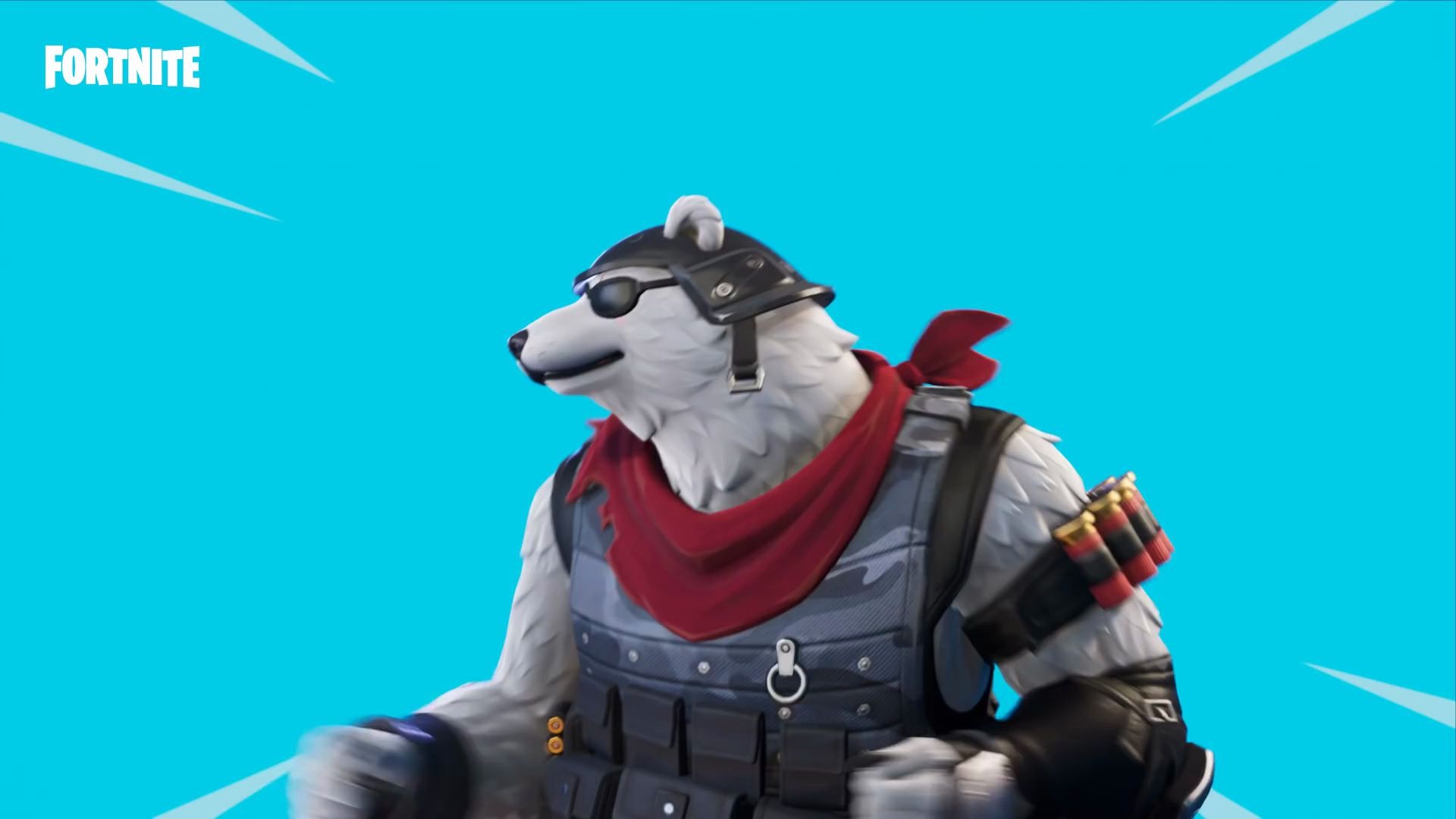 watch how this bear made the unlikeliest of friends