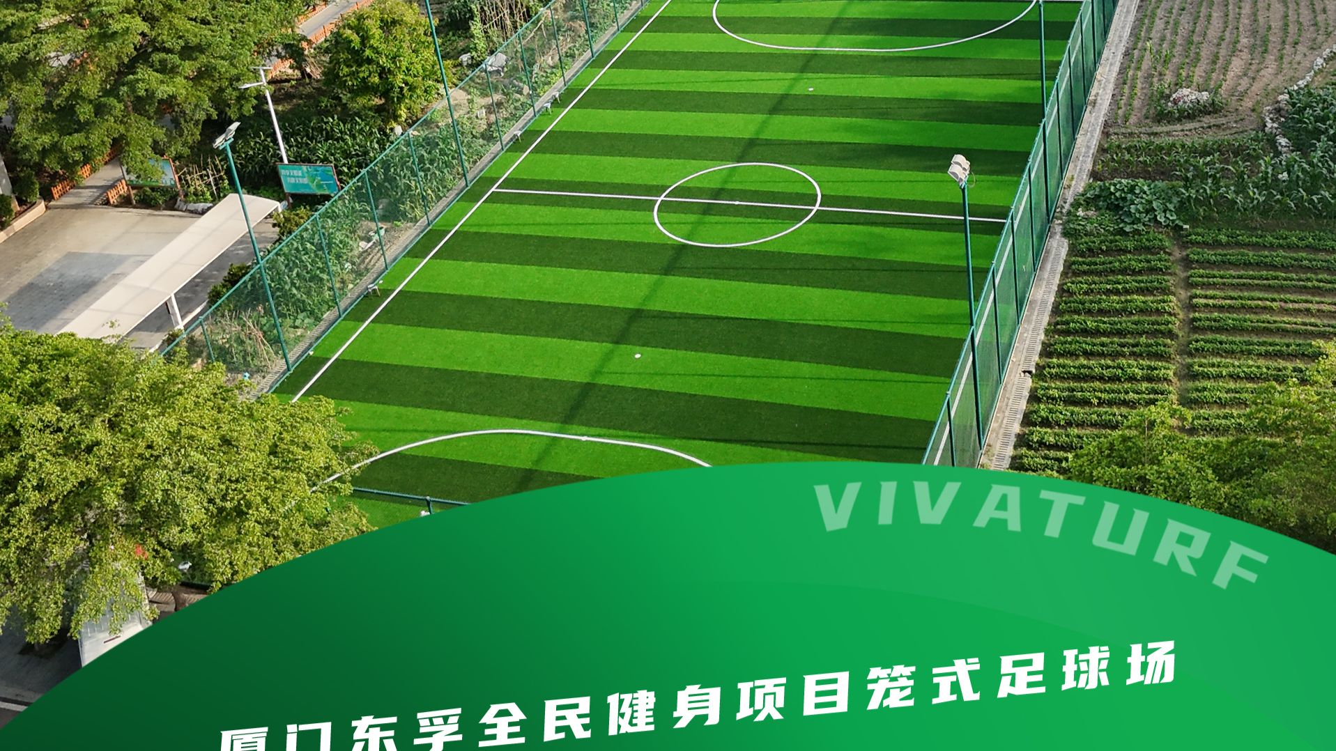 人造草坪专用胶价格及图片