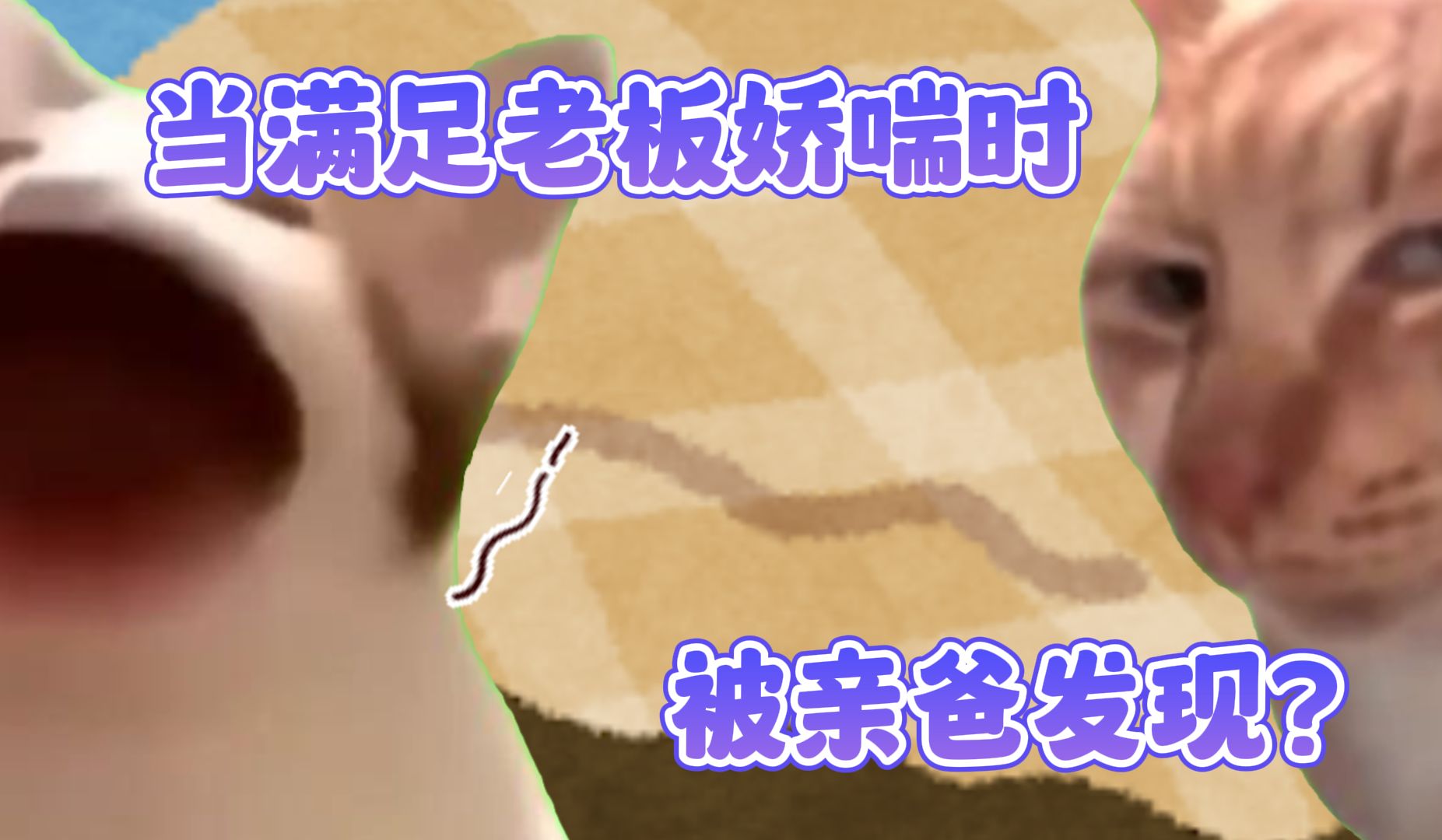 【猫猫meme】奖励老板女装被父母发现时