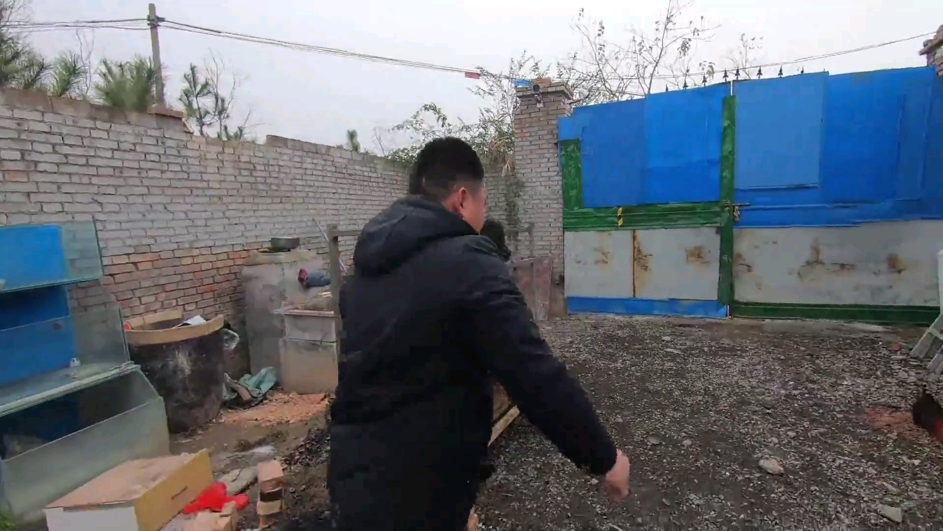 黑豹拿捏合集~不愧是战力天花板！