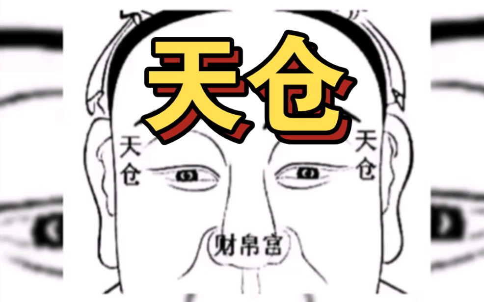 面相识人之天仓