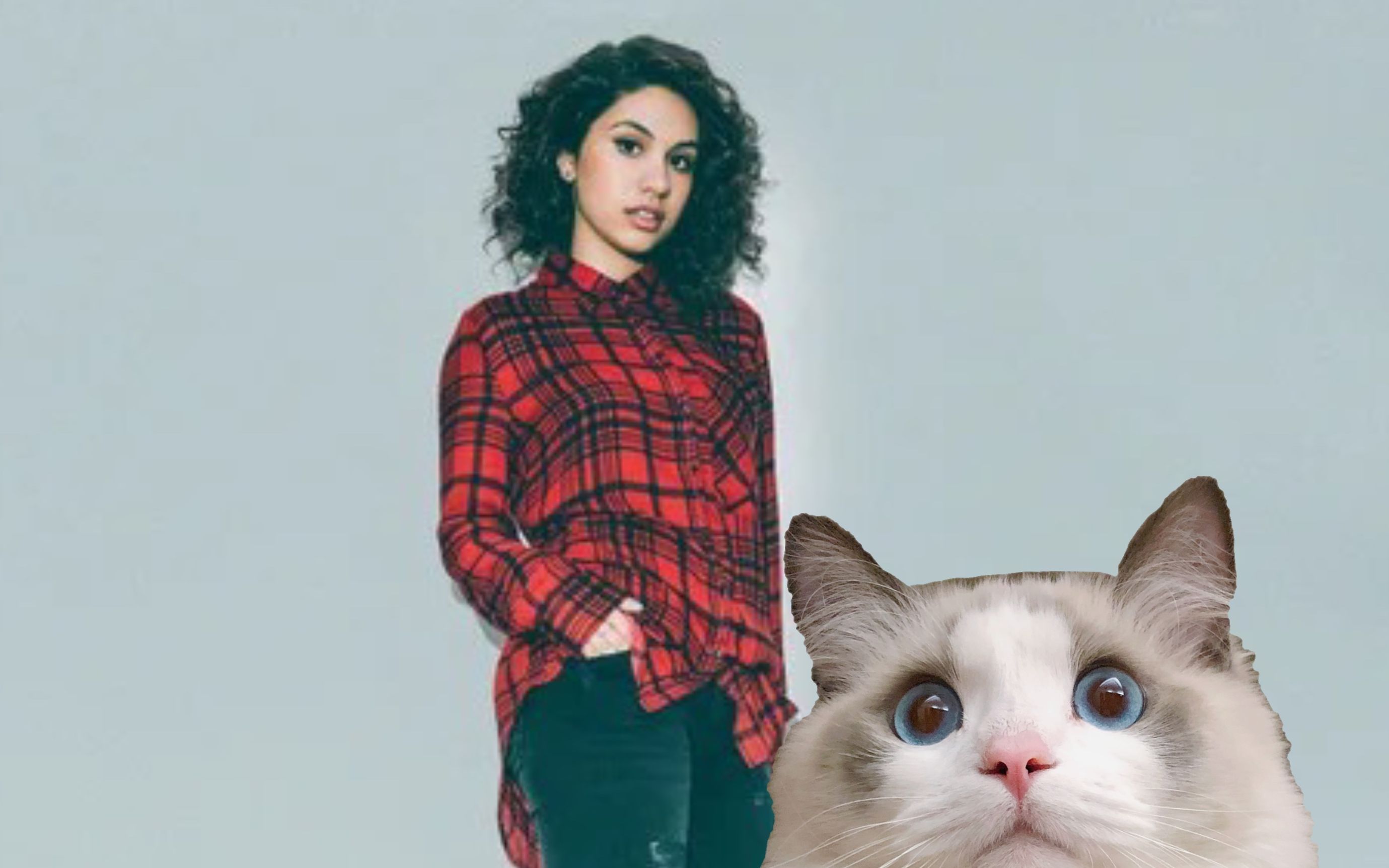 7分钟学唱铁肺alessia cara热单《scars to your beautiful》