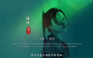 Download Video: 洋澜一《赐伤》无损音质完整版饭制MV，真的，听哭了