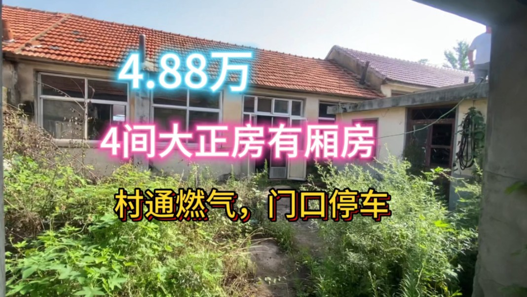 4.88万,四间大正房,有厢房,村通燃气,门口停车#胶东农家小院哔哩哔哩bilibili