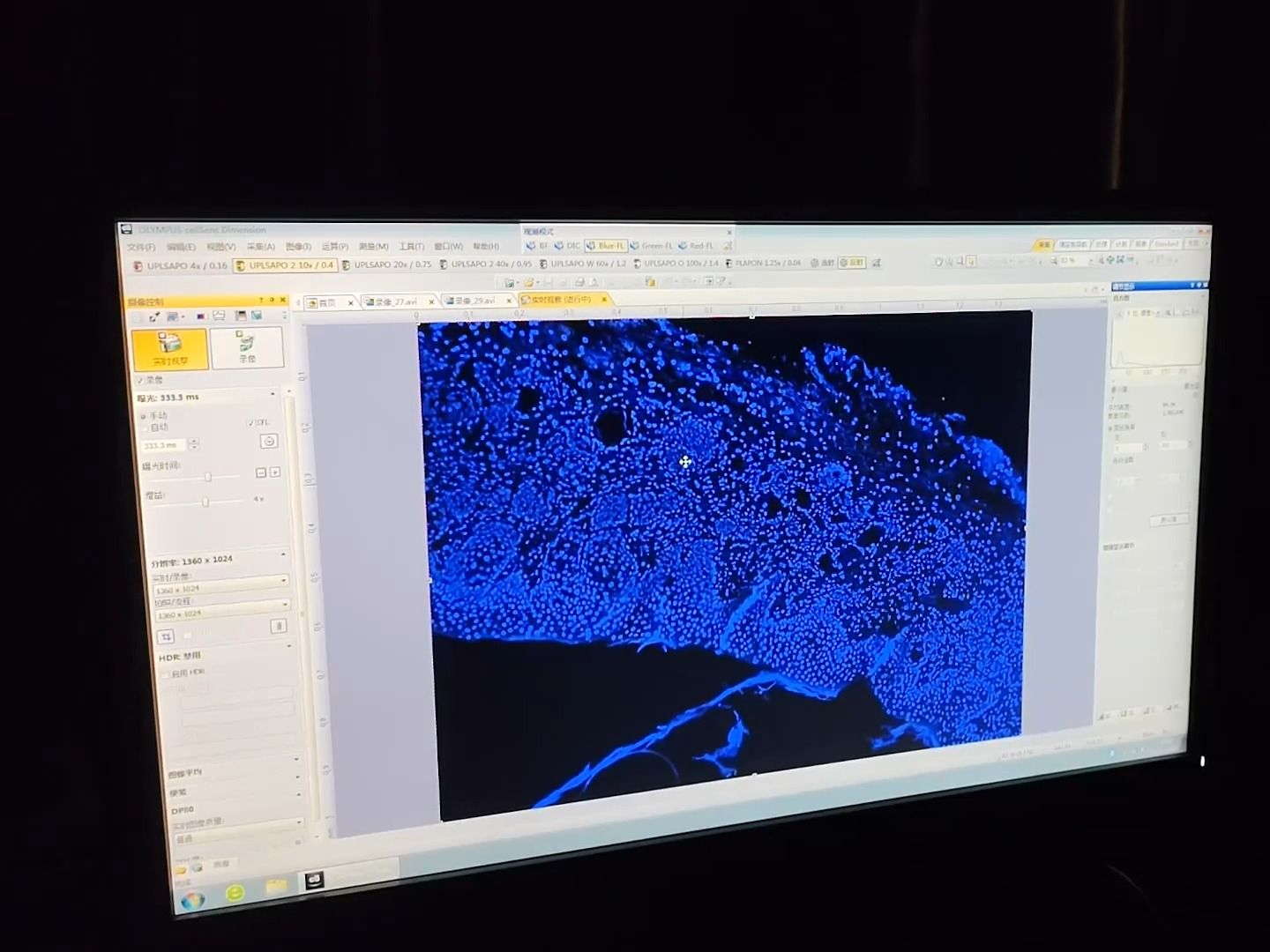 记录下第一次较为成功的荧光(tunel)