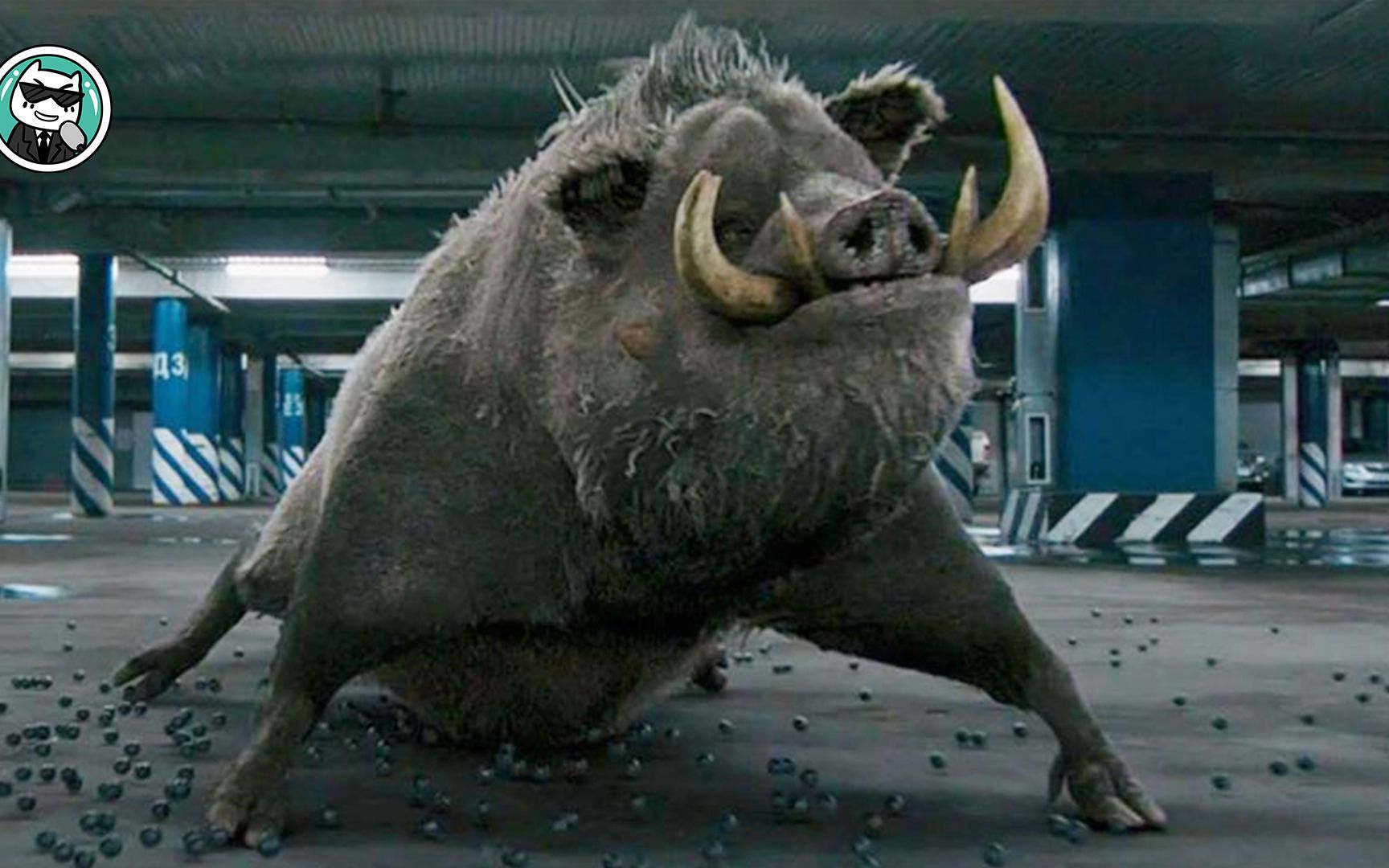 男人拥有罕见的野猪王血脉,一旦暴发,瞬间就能变成千年野猪精