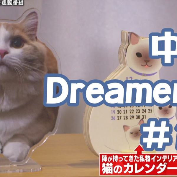 中字】【Dreamer乙#17】藤原树神谷健太浦川翔平per唱歌企划实况上篇_哔